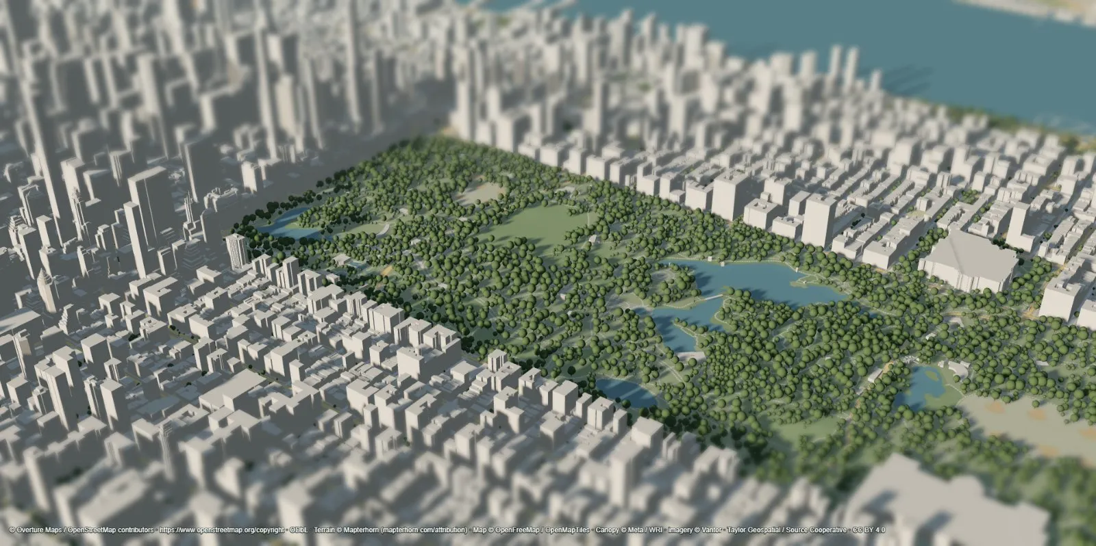 Central Park with CHMv2 canopy trees filling the park